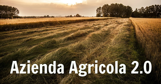 azienda agricola