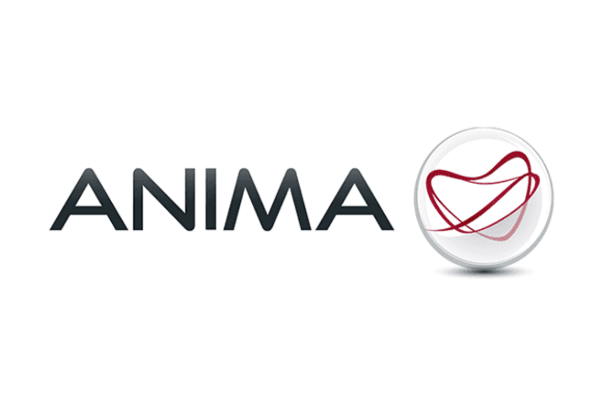 Fondi Anima in Perdita Che Fare? Come Gestire il Disinvestimento?